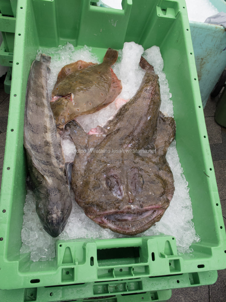 Toko yang menjual ikan segar